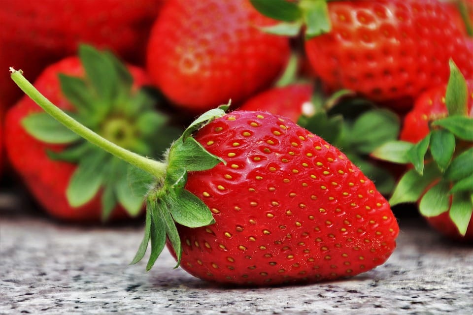 Food Safety Myths Debunked: Separating Fact from Fiction healthy food, junk food, diet,