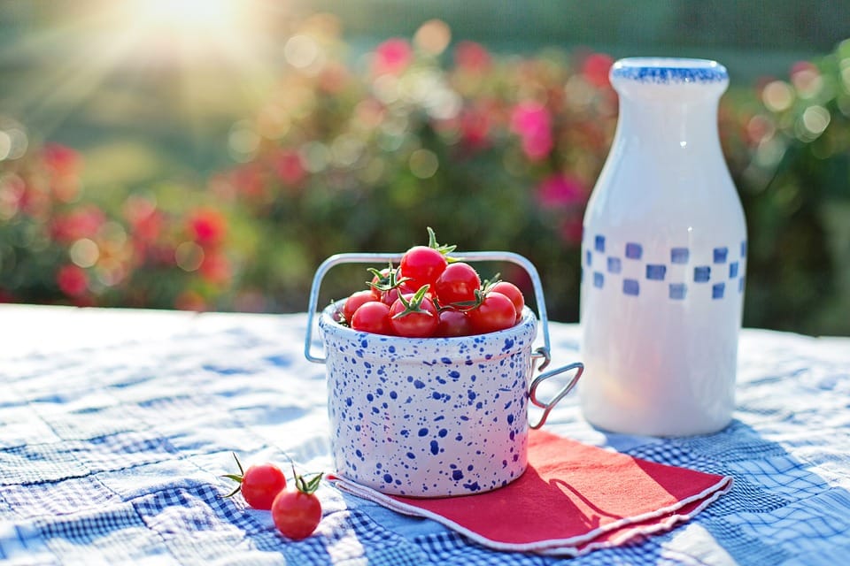 Stay Vigilant, Not Comatose: How to Enjoy Your Meals Without healthy food, junk food, diet,