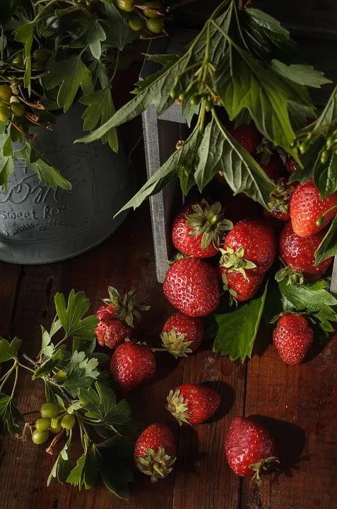 Food Safety Matters: How to Identify, Avoid, and Report Foodborne healthy food, junk food, diet,