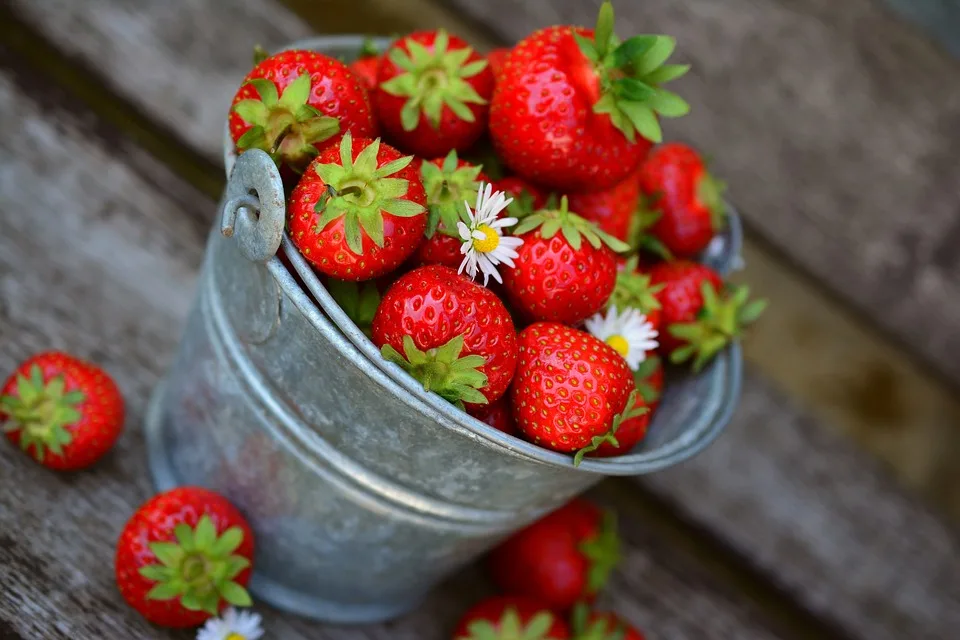 Safe Eating 101: Top 5 Ways to Prevent Foodborne Illness healthy food, junk food, diet,