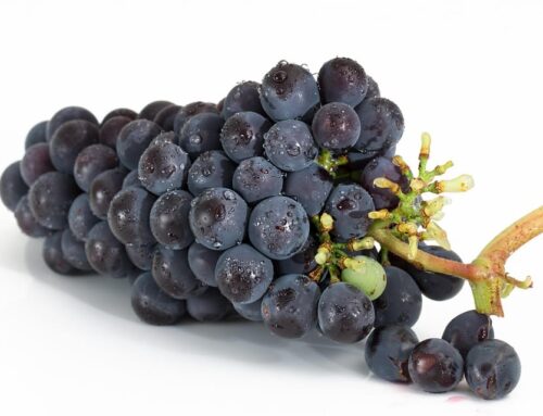 Snack Attack? How to Keep Energy Levels High After Eating 4 The Cleaning Conundrum: How to Clean Your Fridge and Kitchen to Avoid Foodborne Illness